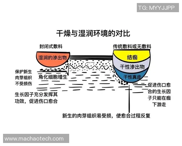南京排球队意识提升与团队协作的深度探讨与分析