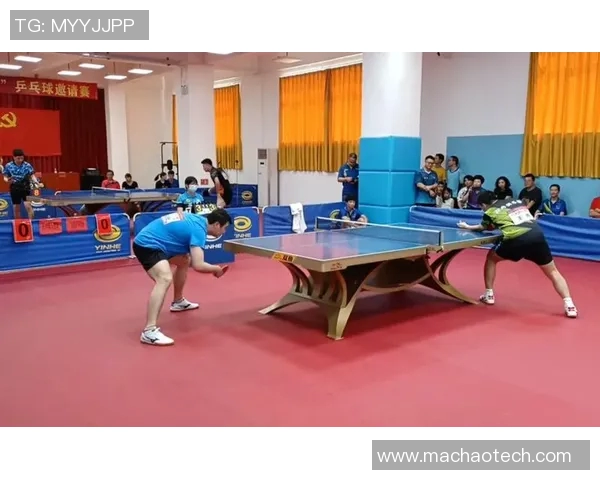 乒乓球传奇陈磊的职业生涯回顾与未来展望对话录