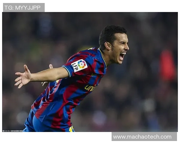 佩德罗足球明星的职业生涯与成就解析