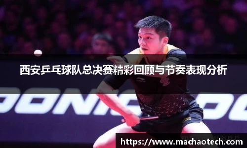 威廉希尔williamhill